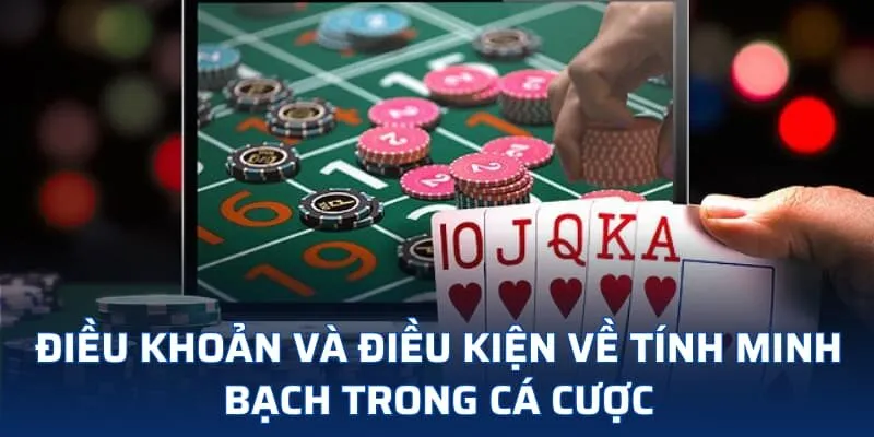 Điều khoản và điều kiện về tính minh bạch trong cá cược Điều khoản và điều kiện về tính minh bạch trong cá cược